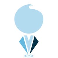 The Young Consultant logo