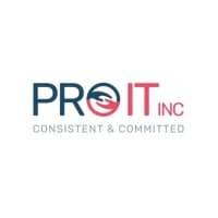 Pro IT logo