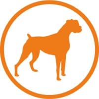 Boxer Media and Growth Marketing logo