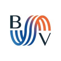 blueVisions Consulting logo
