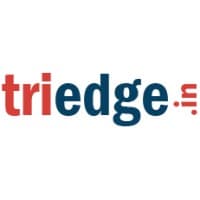 Triedge Solutions logo