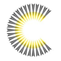 Callida Consulting logo