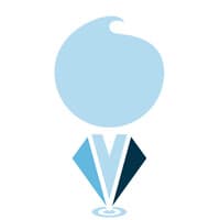 De Kleine Consultant logo