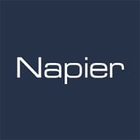 Napier Partnership Limited logo