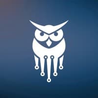 Cyber Wise Consulting logo