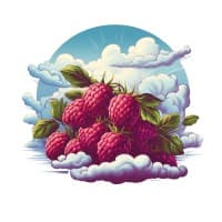 CLOUDeBERRY logo