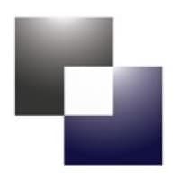 Bowman Williams logo