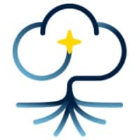 Silver Tree Consulting & Services logo