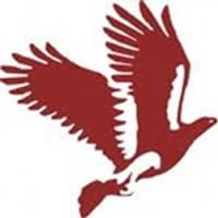 The Consulting Club FMS Delhi logo