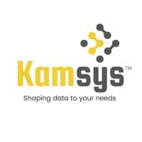 Kamsys Techsolutions India Private Limited logo