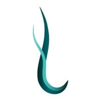 Techrupt Digital logo
