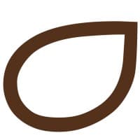 Brantsandpatents logo