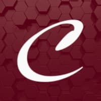 ConsultUSA logo