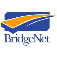 BridgeNet Technology Consultants logo