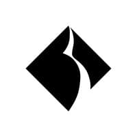 Black Diamond logo