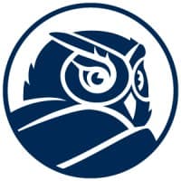 Qessential Medical Market Research logo