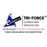 Tri-Force Consulting Services logo