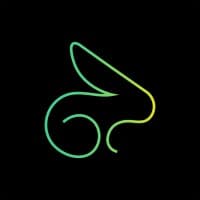 Rabbit Mobility logo
