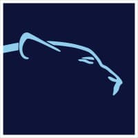 Leopard Solutions logo