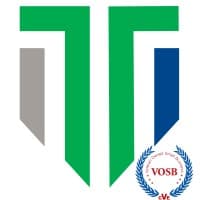 Theseus Professional Services logo
