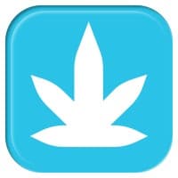 BLAZEÂ® logo