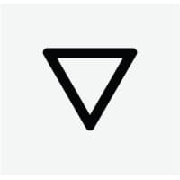 Brightvision logo