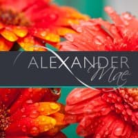 Alexander Mae logo