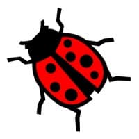 StreetGooser Tech Pvt logo