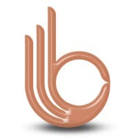 Best Solution logo