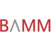 BAMM Staffing logo