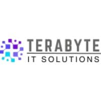 Terabyte IT Solutions logo