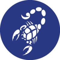 Blue Scorpion Limited logo