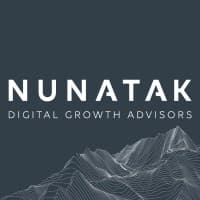 The Nunatak Group logo