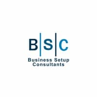 Business Setup Consultants DMCC logo