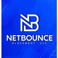 NetBounce Placement logo