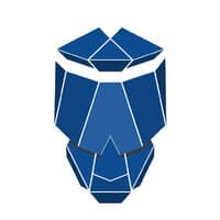 Wise Skulls logo