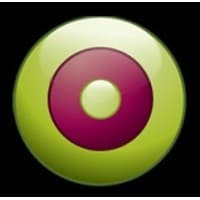 Brand Visage Communications logo
