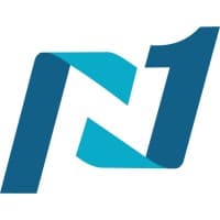 Network 1 Consulting logo