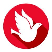 Network Solutions logo