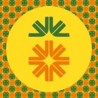 Nanas Media logo