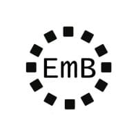 Embright Infotech Pvt logo