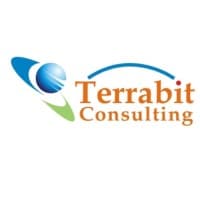 Terrabit Consulting logo