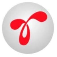 Rapisource IT Services logo