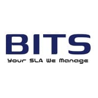 Brilliance IT Services Pvt logo