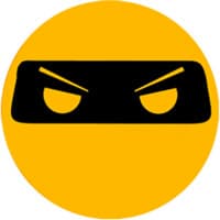 DailyNinja logo
