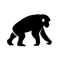 ChimpzLab logo