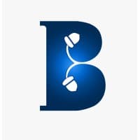 Brandingnuts logo