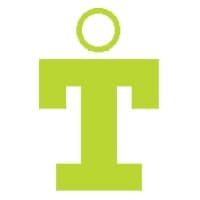 IT Di-Visions AG logo