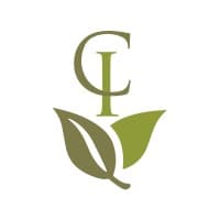 Capital Insight logo