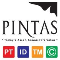 Pintas IP Group logo